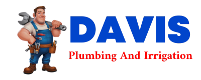 Trusted plumber in BRADDYVILLE